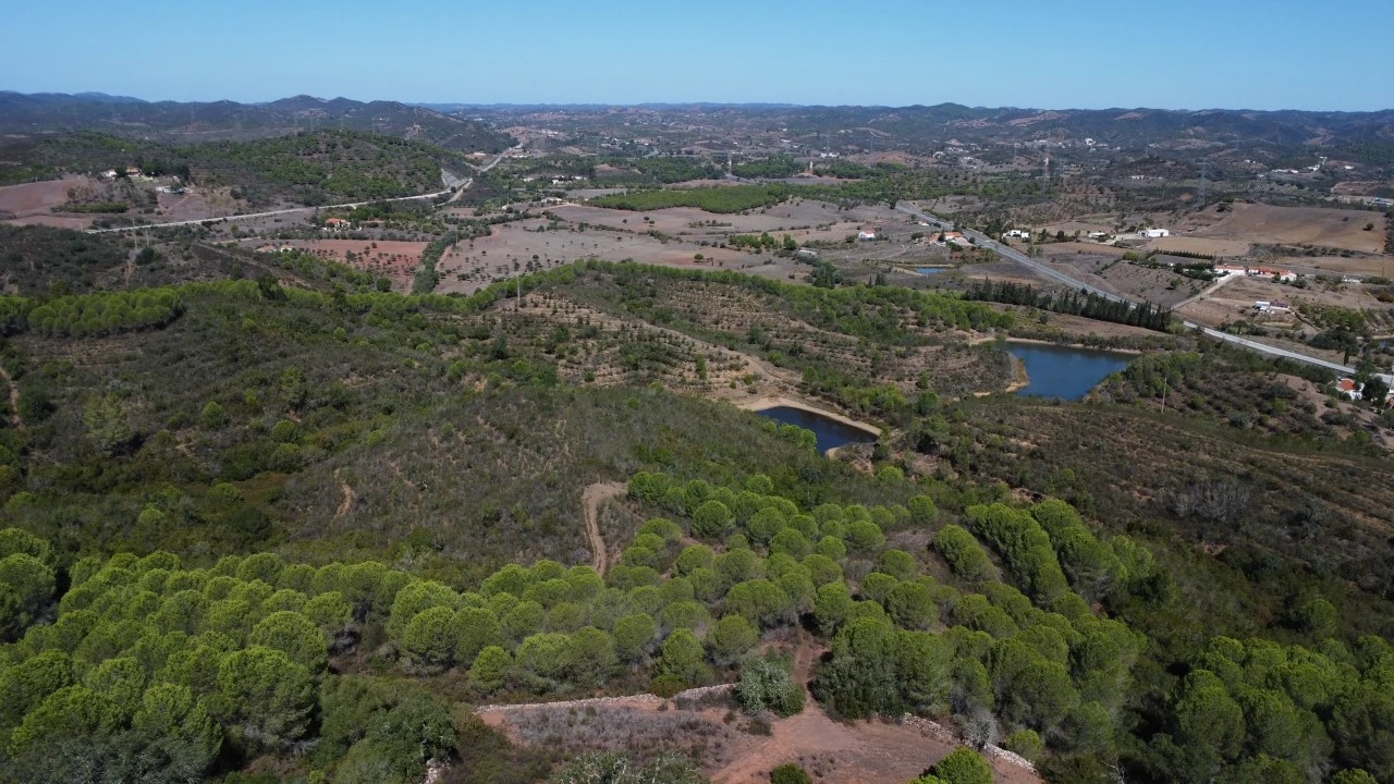 Terreno para Venda em São Bartolomeu de Messines Planta 5