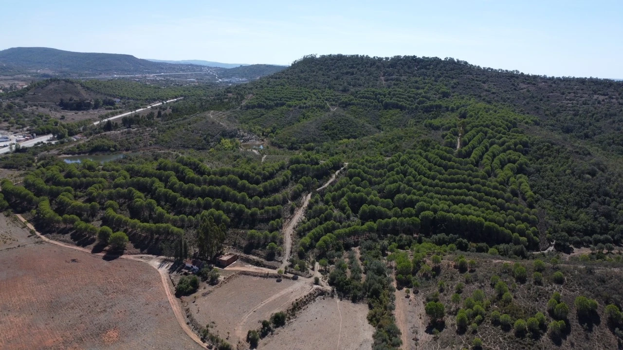 Terreno para Venda em São Bartolomeu de Messines Planta 8
