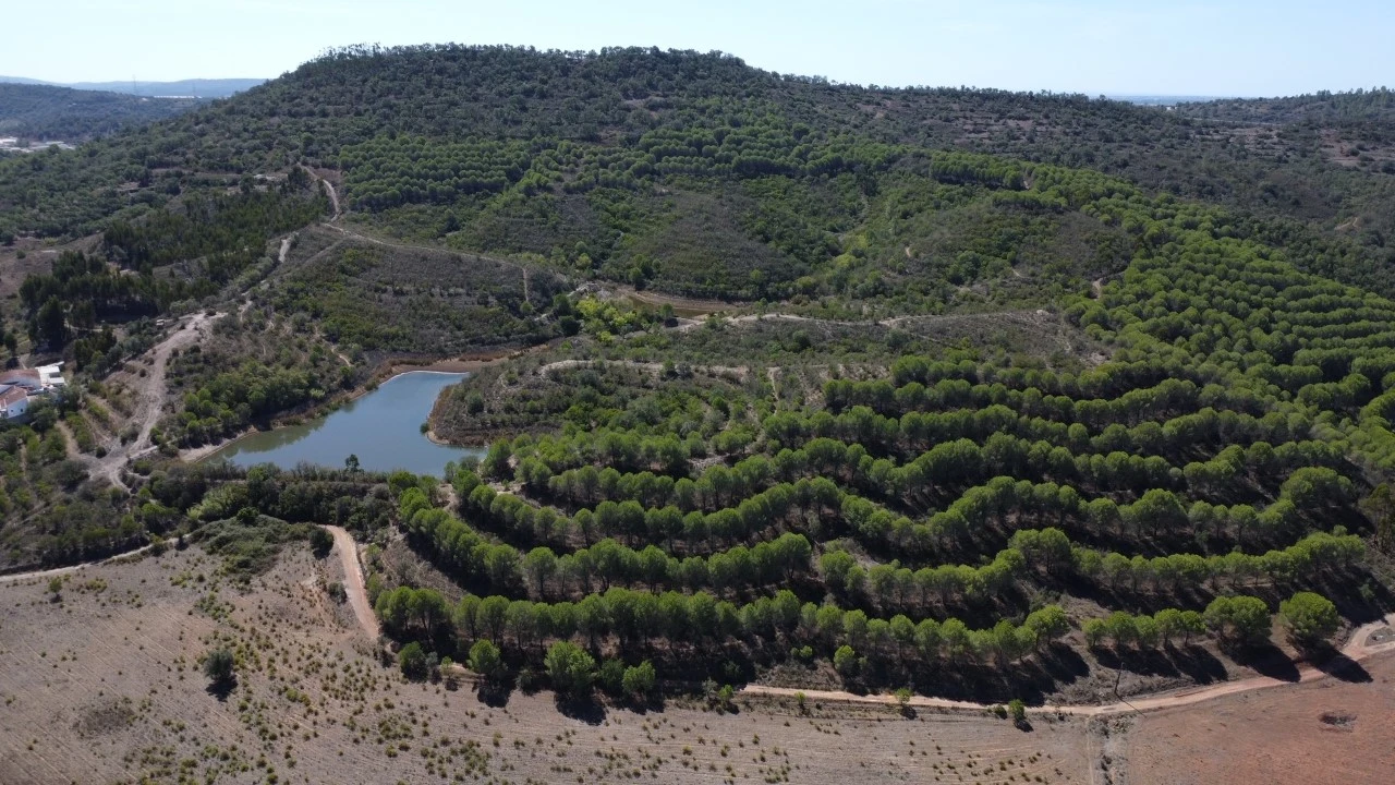 Terreno para Venda em São Bartolomeu de Messines Planta 9