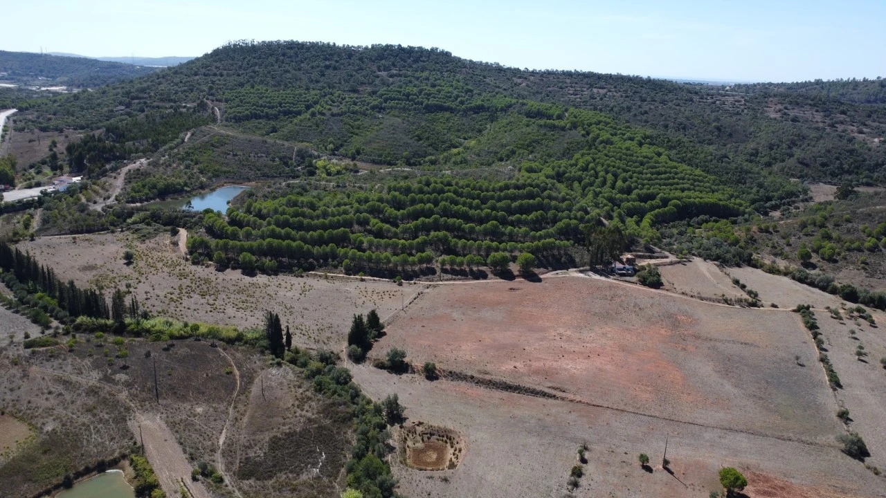 Terreno para Venda em São Bartolomeu de Messines Planta 10
