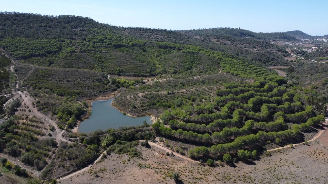 Terreno para Venda em São Bartolomeu de Messines Planta 12