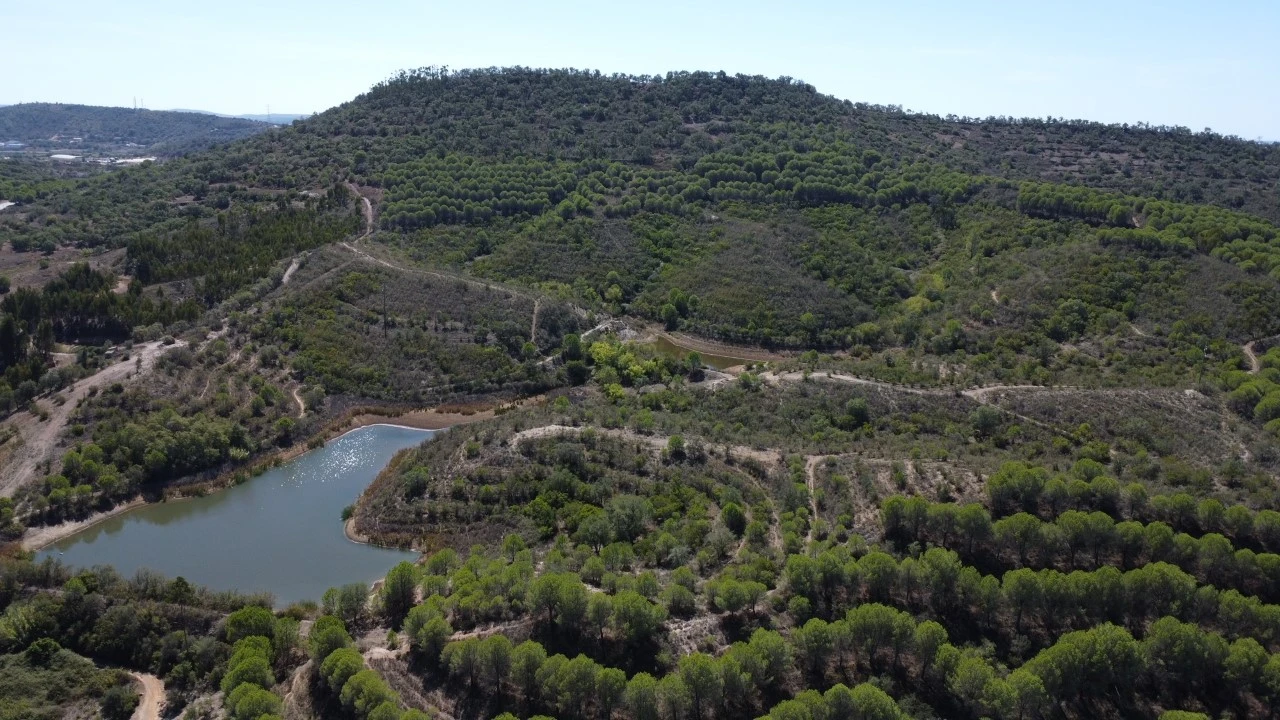 Terreno para Venda em São Bartolomeu de Messines Planta 15
