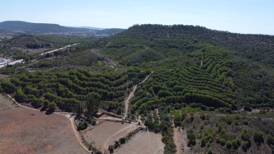 Terreno para Venda em São Bartolomeu de Messines Planta 8