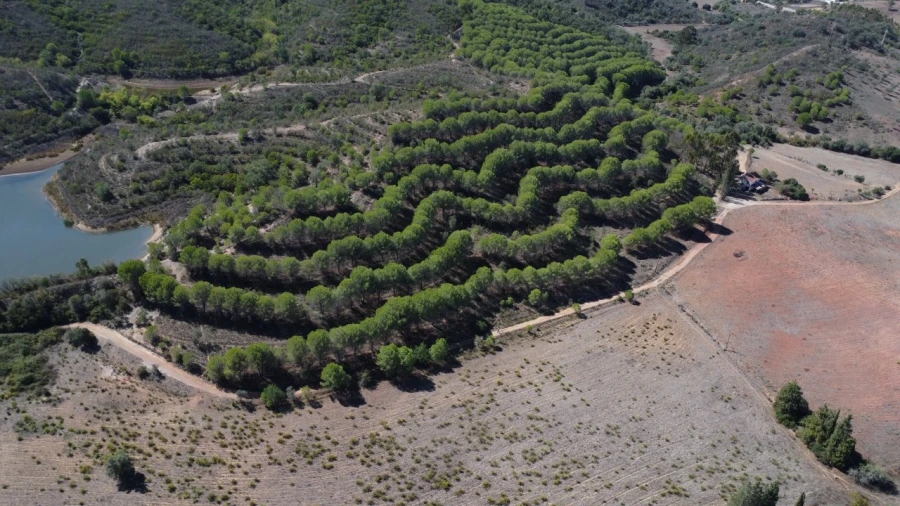 Terreno para Venda em São Bartolomeu de Messines Planta 11