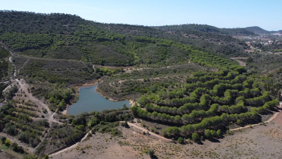 Terreno para Venda em São Bartolomeu de Messines Planta 12