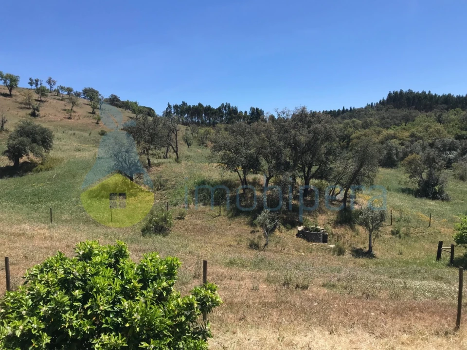 Moradia T2 para Venda em São Martinho das Amoreiras Foto 3