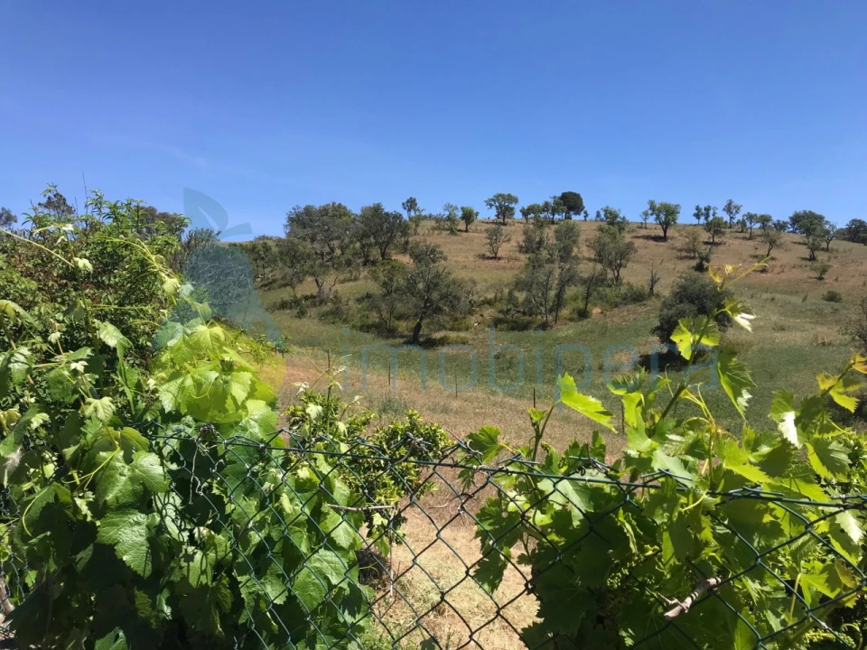 Moradia T2 para Venda em São Martinho das Amoreiras Foto 6