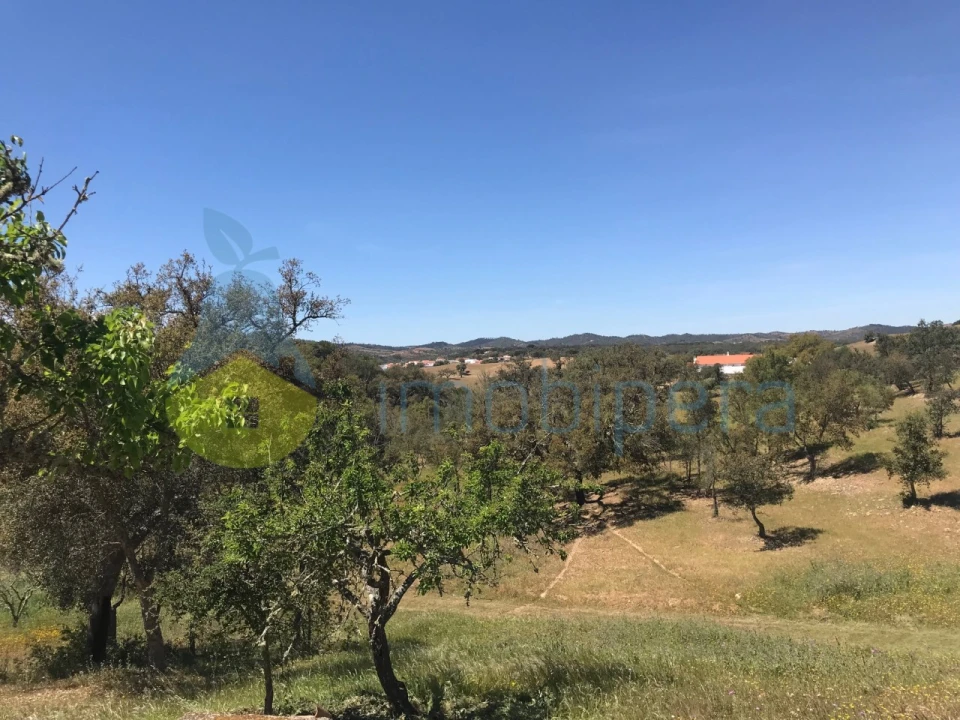 Moradia T2 para Venda em São Martinho das Amoreiras Foto 30