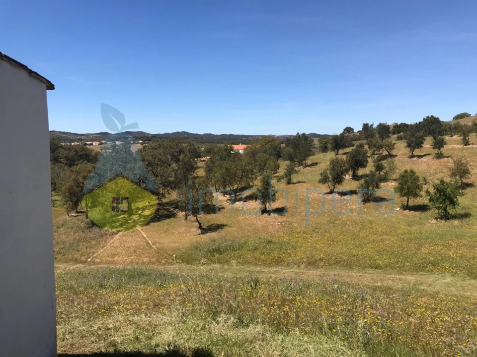 Moradia T2 para Venda em São Martinho das Amoreiras Foto 43