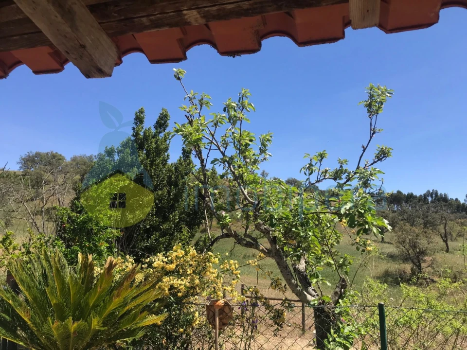 Moradia T2 para Venda em São Martinho das Amoreiras Foto 15