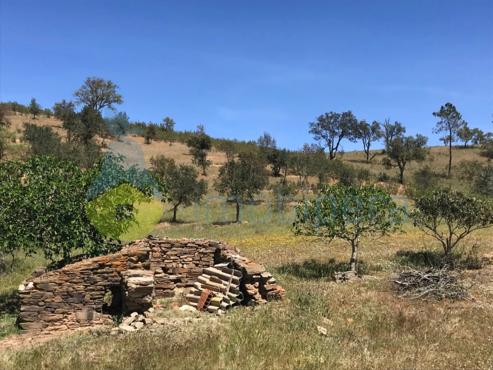 Moradia T2 para Venda em São Martinho das Amoreiras Foto 44