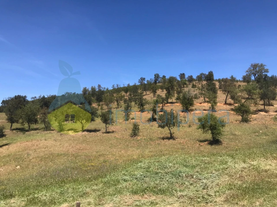 Moradia T2 para Venda em São Martinho das Amoreiras Foto 48