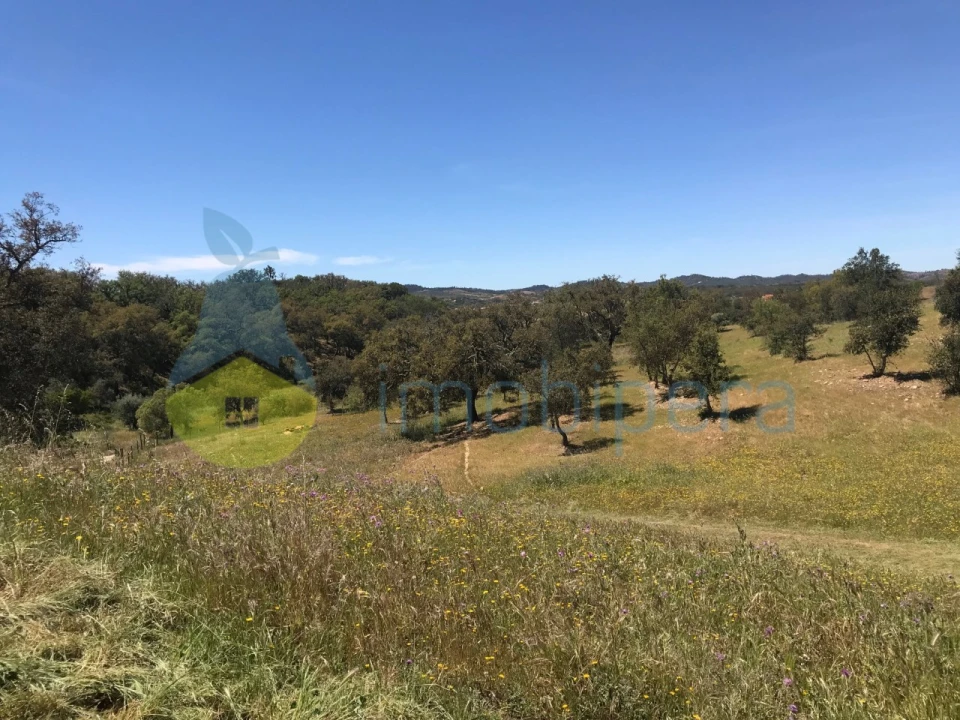 Moradia T2 para Venda em São Martinho das Amoreiras Foto 46