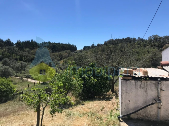 Moradia T2 para Venda em São Martinho das Amoreiras Foto 10