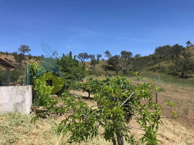 Moradia T2 para Venda em São Martinho das Amoreiras Foto 13