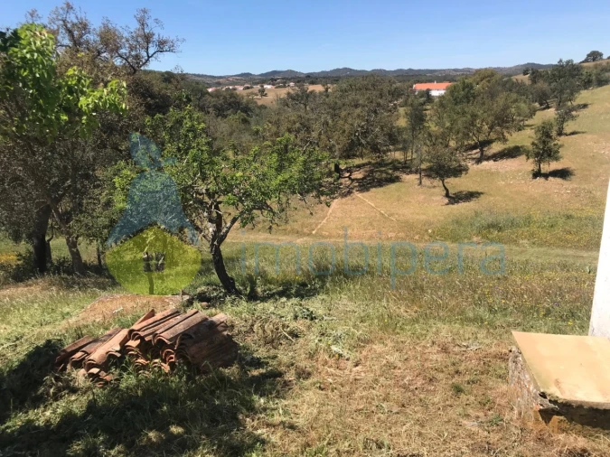 Moradia T2 para Venda em São Martinho das Amoreiras Foto 31