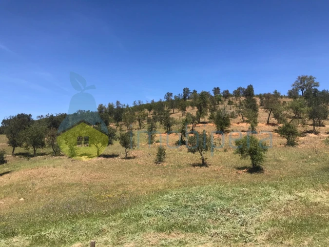 Moradia T2 para Venda em São Martinho das Amoreiras Foto 48