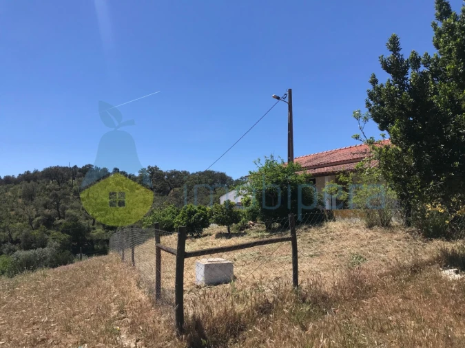 Moradia T2 para Venda em São Martinho das Amoreiras Foto 49