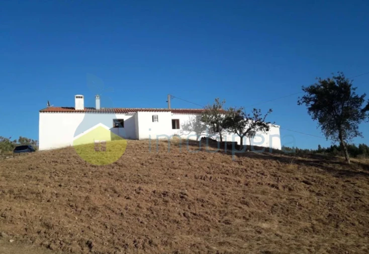 Moradia T2 para Venda em São Martinho das Amoreiras Foto 4