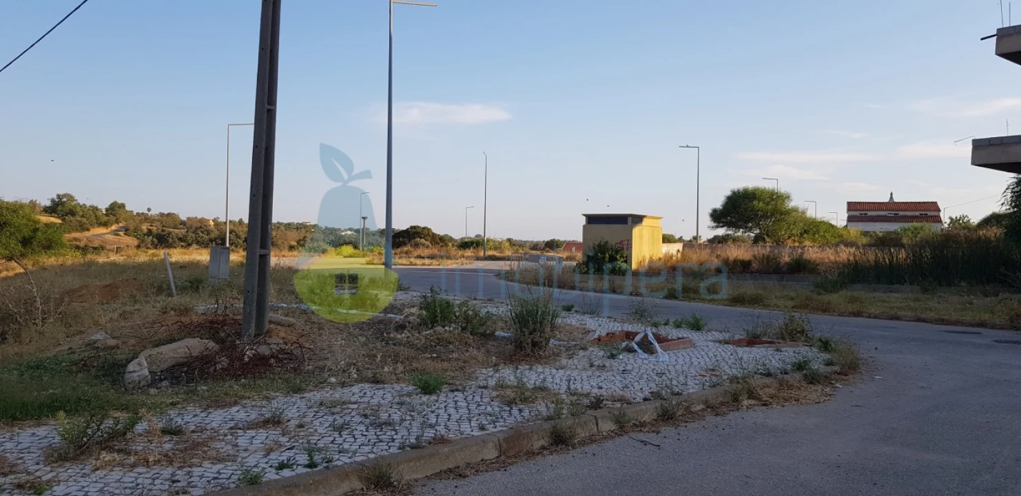 Terreno para Venda em Ferreiras Foto 3