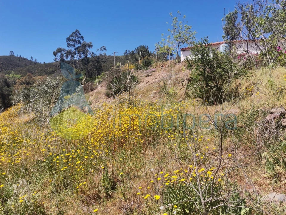 Quinta T2 para Venda em Marmelete Foto 2