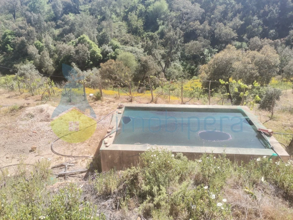 Quinta T2 para Venda em Marmelete Foto 5