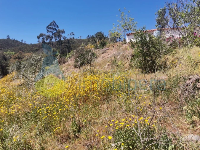 Quinta T2 para Venda em Marmelete Foto 2