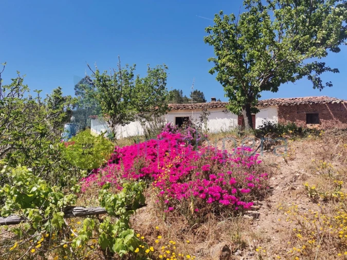 Quinta T2 para Venda em Marmelete