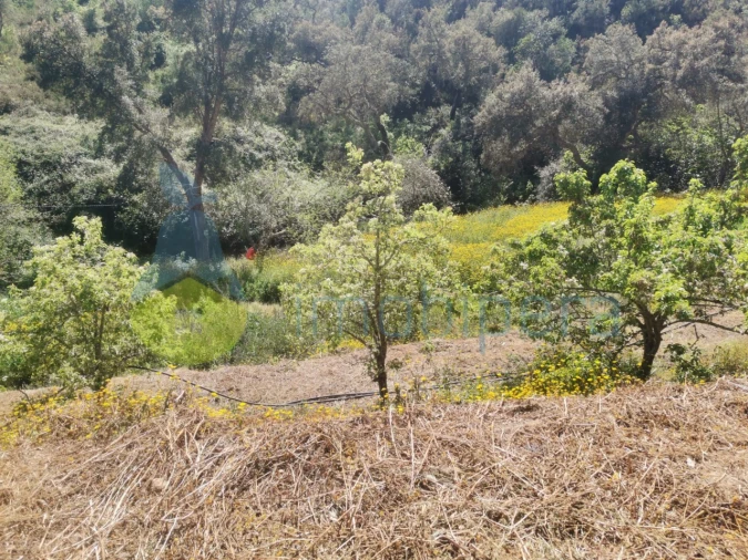 Quinta T2 para Venda em Marmelete Foto 7