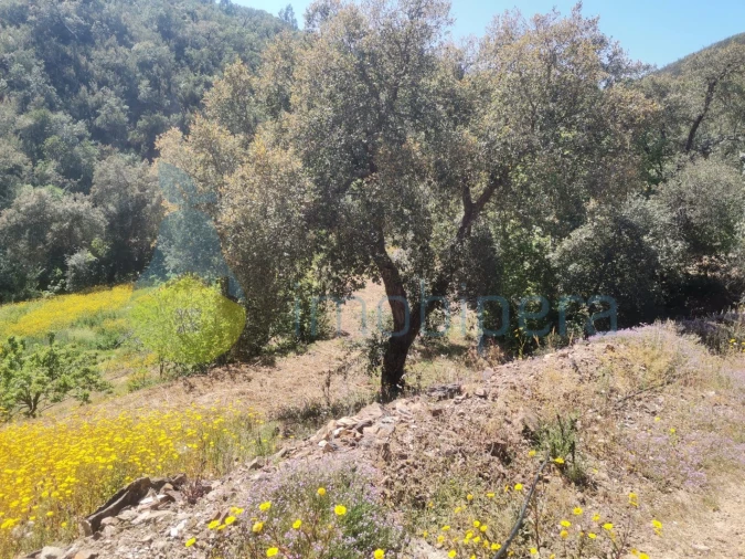 Quinta T2 para Venda em Marmelete Foto 8