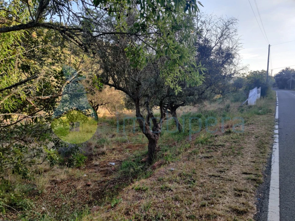 Terreno Agricola ou Rústico para Venda em São Bartolomeu de Messines Foto 4