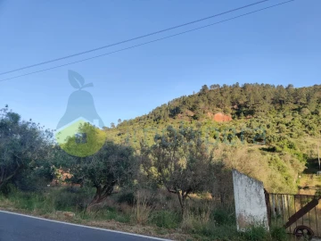 Terreno Agricola ou Rústico para Venda em São Bartolomeu de Messines