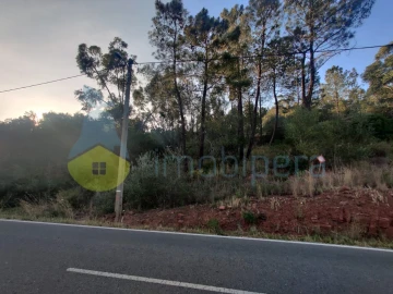 Terreno Agricola ou Rústico para Venda em São Bartolomeu de Messines