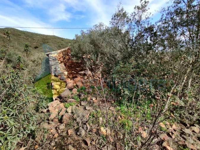 Moradia T2 para Venda em Silves Foto 3