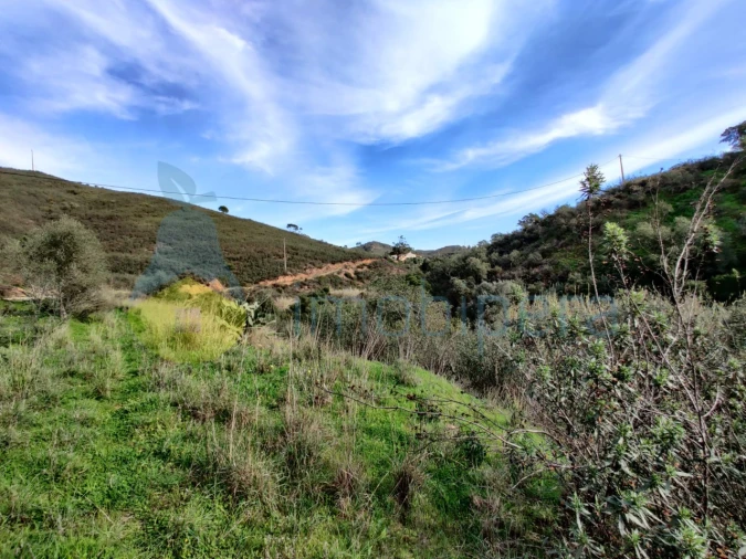 Moradia T2 para Venda em Silves Foto 8