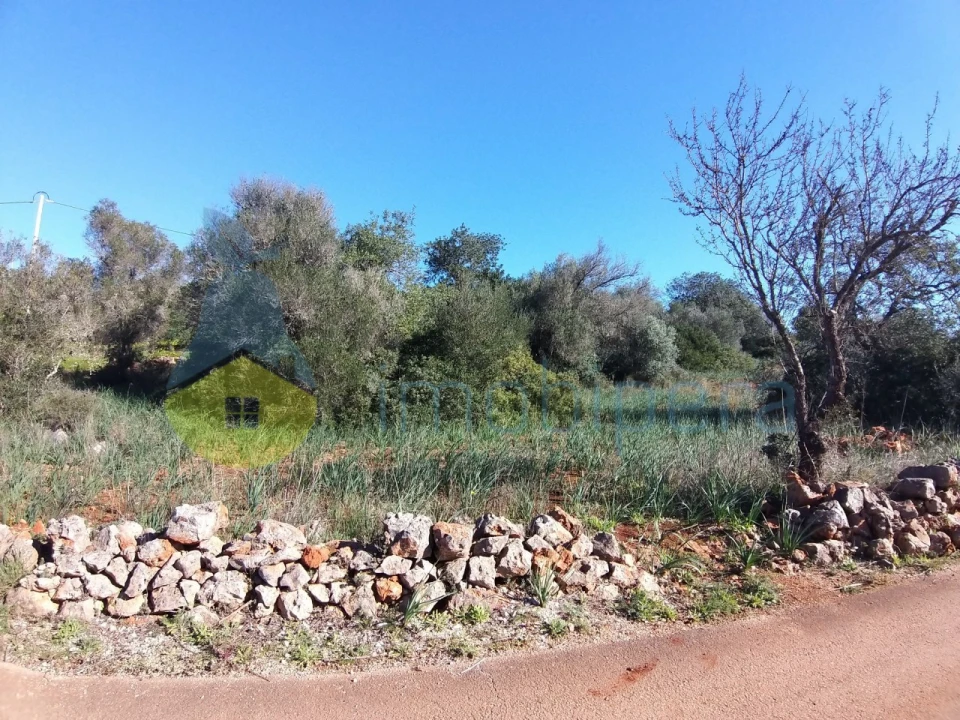 Terreno Agricola ou Rústico para Venda em São Bartolomeu de Messines Foto 1
