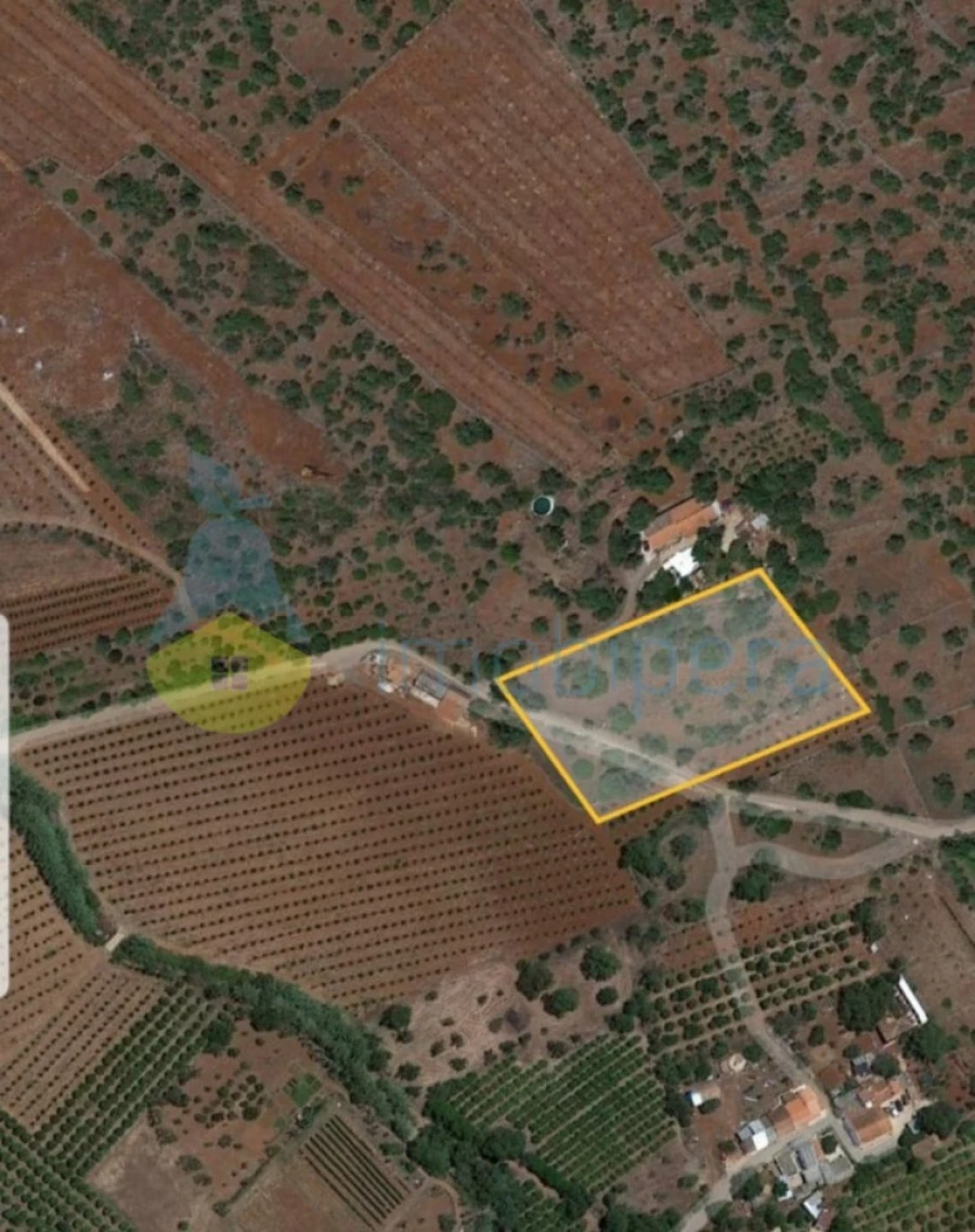 Terreno Agricola ou Rústico para Venda em São Bartolomeu de Messines Foto 2