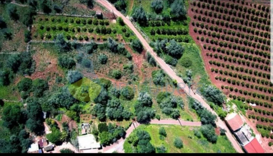 Terreno Agricola ou Rústico para Venda em São Bartolomeu de Messines Foto 6