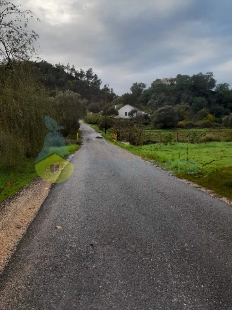 Terreno Agricola ou Rústico para Venda em São Bartolomeu de Messines Foto 8