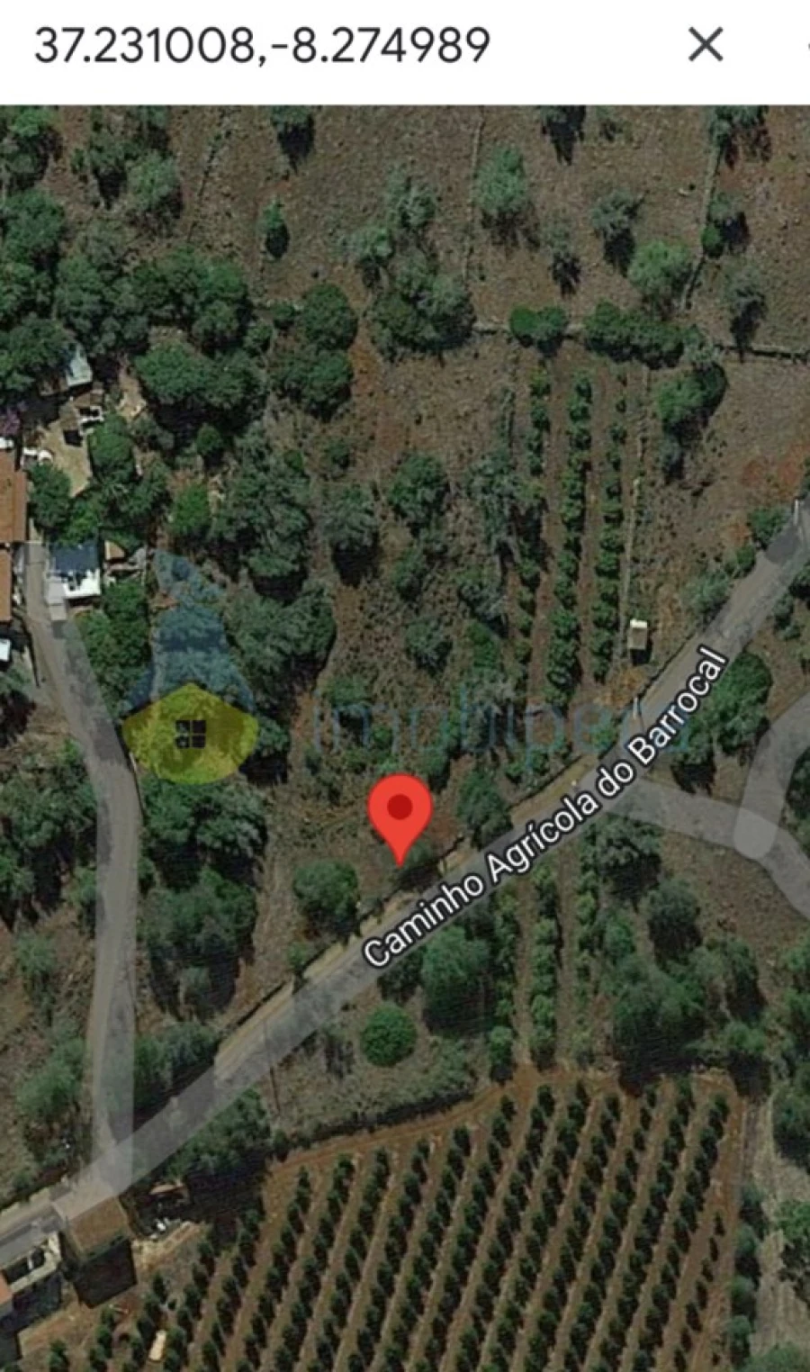 Terreno Agricola ou Rústico para Venda em São Bartolomeu de Messines Foto 7