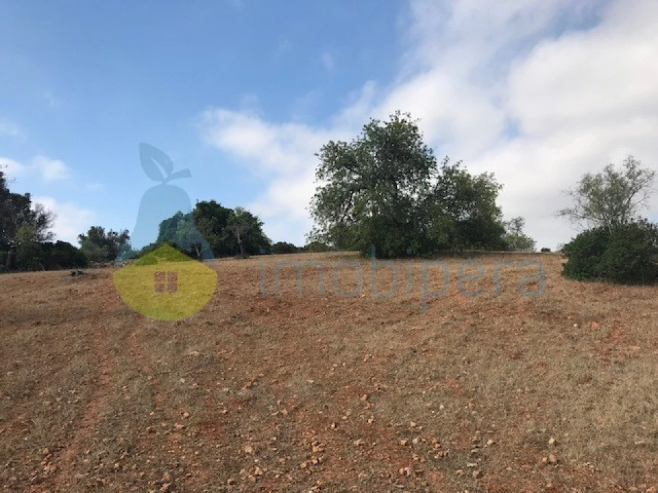 Terreno Agricola ou Rústico para Venda em Ferreiras Foto 9