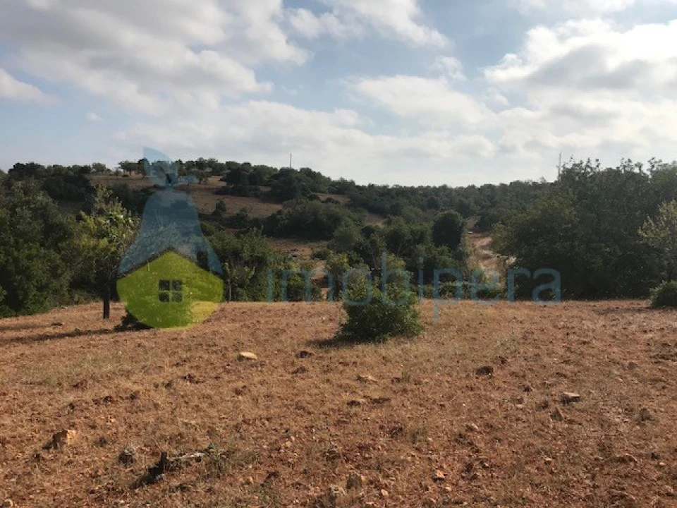 Terreno Agricola ou Rústico para Venda em Ferreiras Foto 6