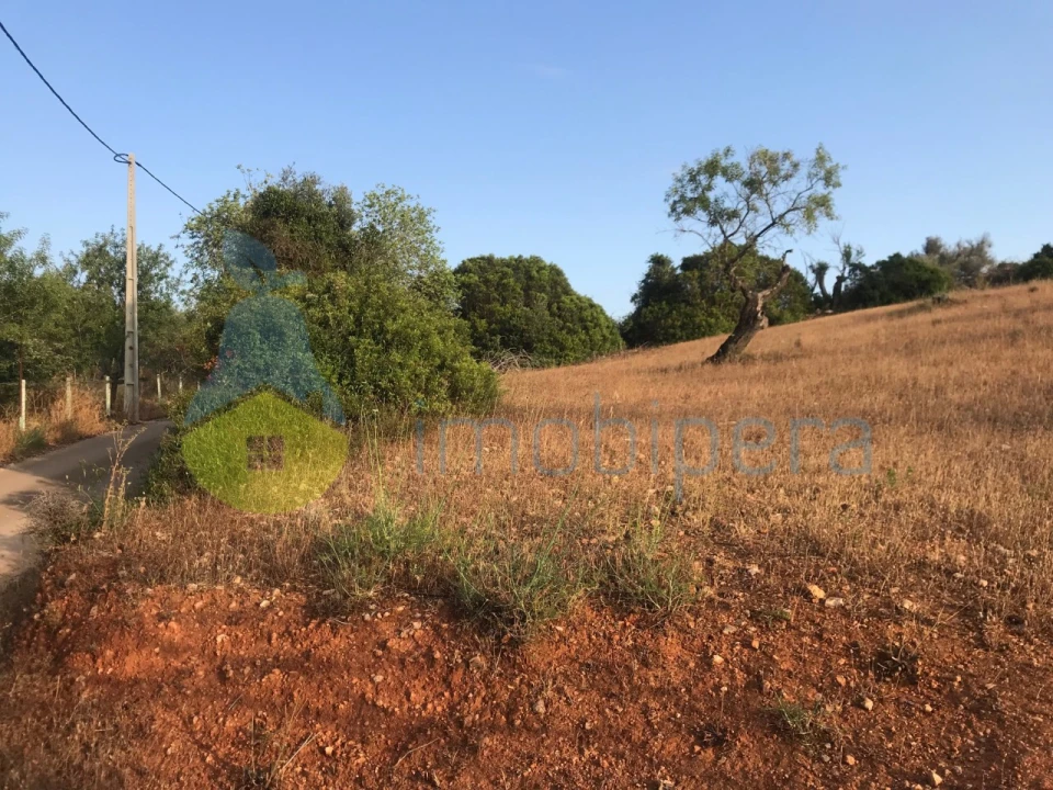 Terreno Agricola ou Rústico para Venda em Ferreiras Foto 1