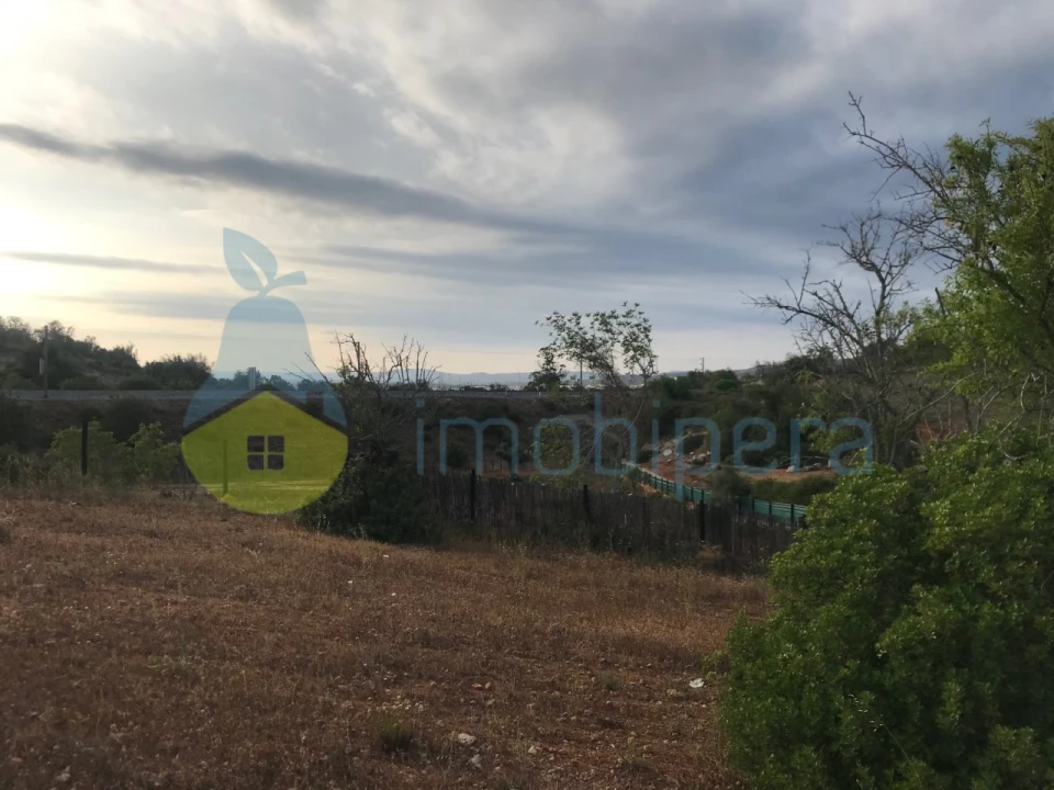 Terreno Agricola ou Rústico para Venda em Ferreiras Foto 21