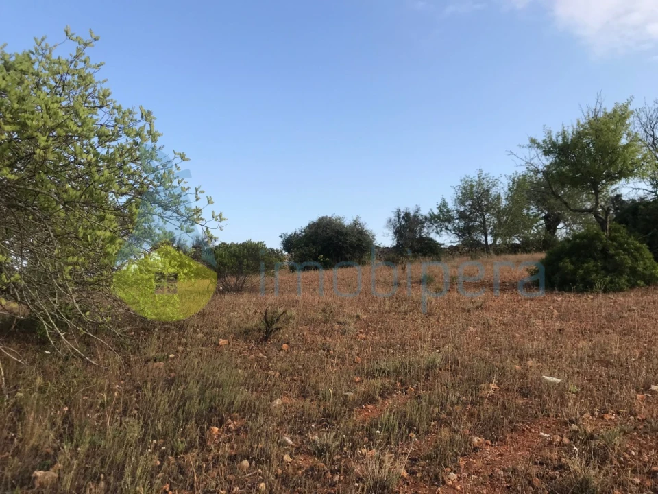 Terreno Agricola ou Rústico para Venda em Ferreiras Foto 25