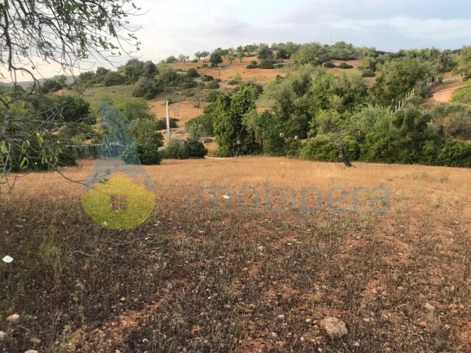 Terreno Agricola ou Rústico para Venda em Ferreiras Foto 36