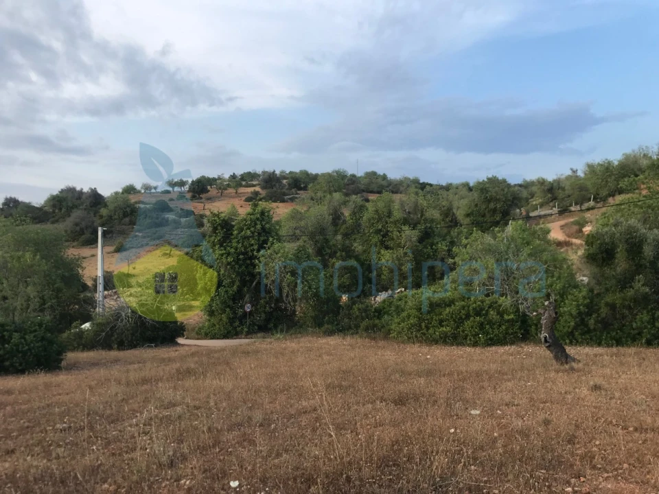 Terreno Agricola ou Rústico para Venda em Ferreiras Foto 38