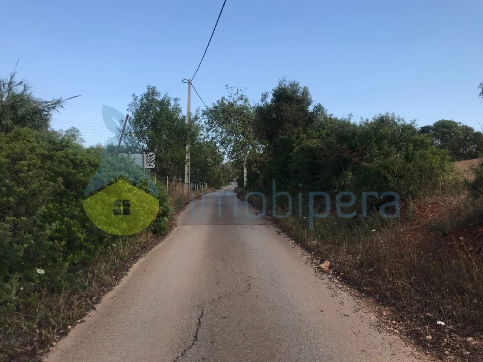 Terreno Agricola ou Rústico para Venda em Ferreiras Foto 39