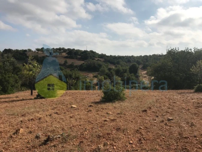 Terreno Agricola ou Rústico para Venda em Ferreiras Foto 6