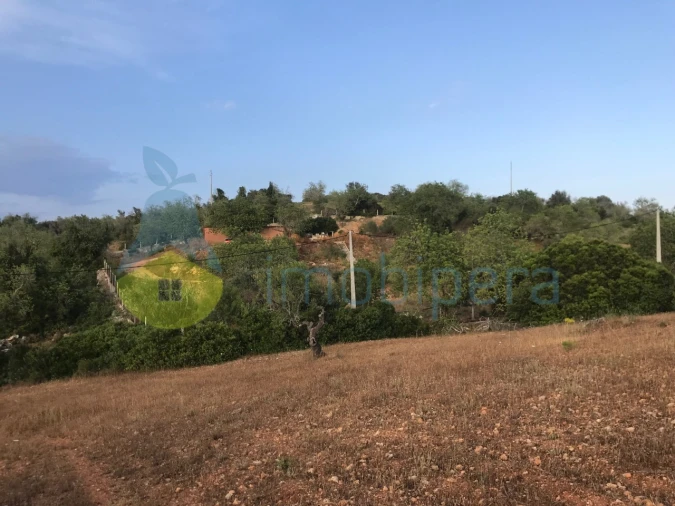 Terreno Agricola ou Rústico para Venda em Ferreiras Foto 24